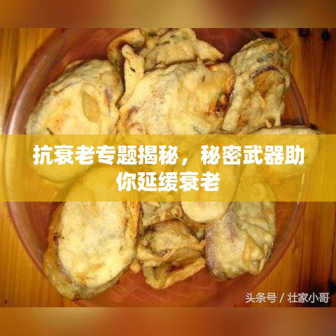 抗衰老专题揭秘,秘密武器助你延缓衰老