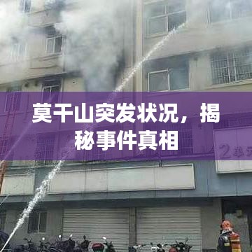 莫干山突发状况,揭秘事件真相