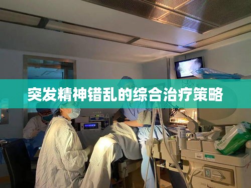 突发精神错乱的综合治疗策略