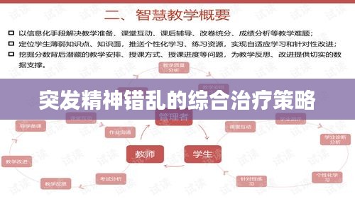 突发精神错乱的综合治疗策略