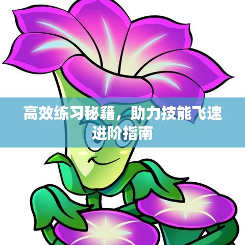 高效练习秘籍,助力技能飞速进阶指南
