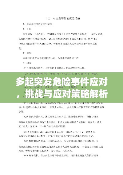 多起突发危险事件应对,挑战与应对策略解析