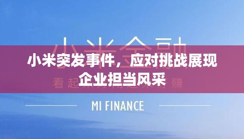 小米突发事件,应对挑战展现企业担当风采