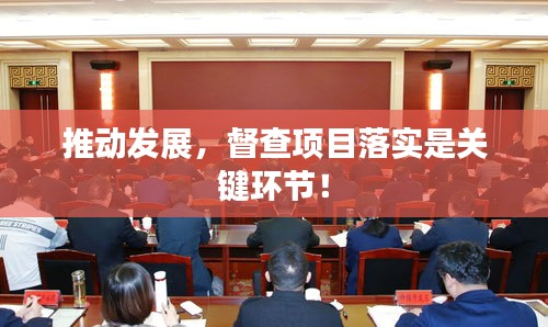 推动发展,督查项目落实是关键环节!