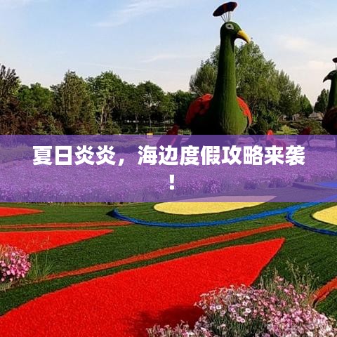 夏日炎炎,海边度假攻略来袭!