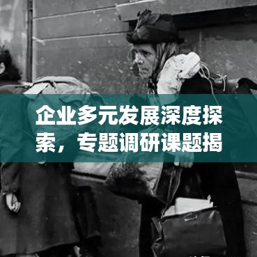 企业多元发展深度探索,专题调研课题揭秘现代企业管理之道