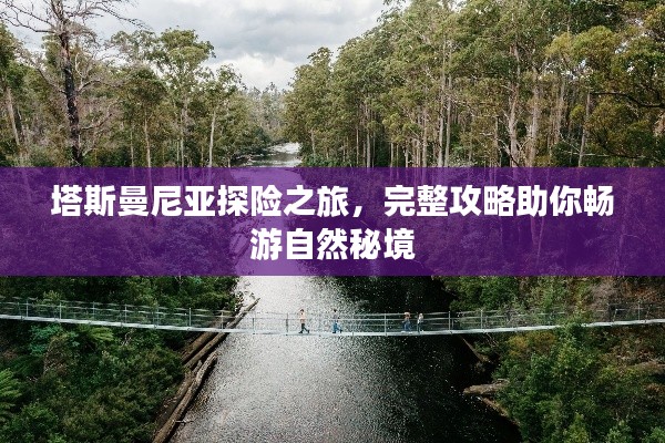 塔斯曼尼亚探险之旅,完整攻略助你畅游自然秘境