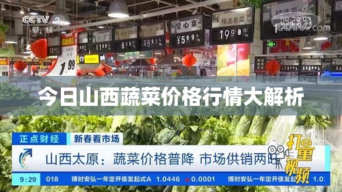 今日山西蔬菜价格行情大解析