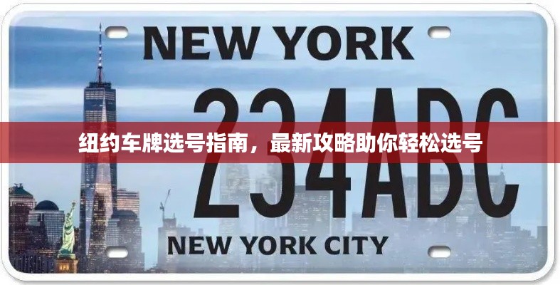 纽约车牌选号指南,最新攻略助你轻松选号
