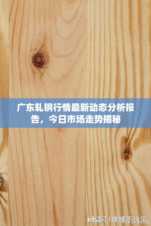 广东轧钢行情最新动态分析报告,今日市场走势揭秘