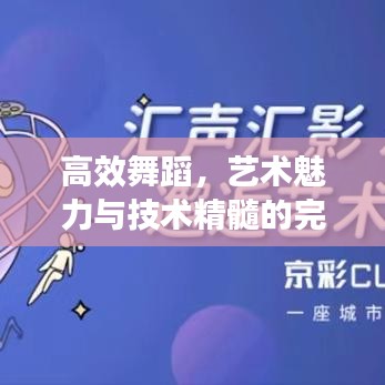 高效舞蹈,艺术魅力与技术精髓的完美融合
