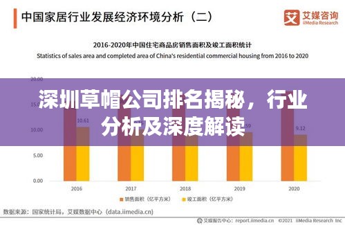 深圳草帽公司排名揭秘,行业分析及深度解读
