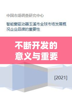 不断开发的意义与重要性,驱动进步的源泉