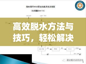 高效脱水方法与技巧,轻松解决水分问题