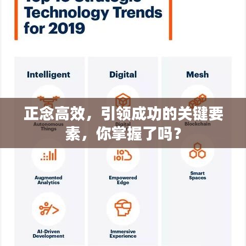 正念高效,引领成功的关键要素,你掌握了吗?