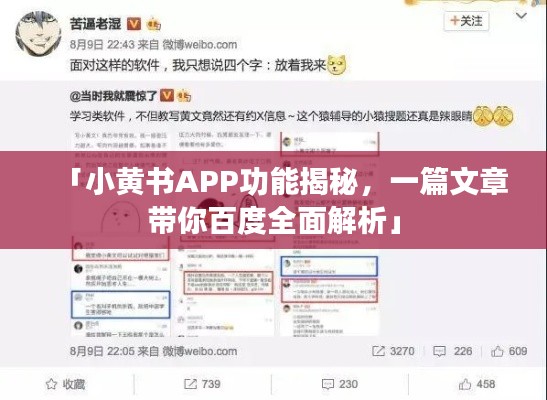 「小黄书APP功能揭秘,一篇文章带你百度全面解析」