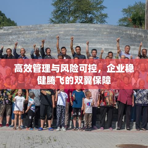 高效管理与风险可控,企业稳健腾飞的双翼保障