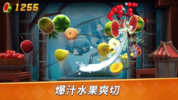 水果忍者官方版旧版本,确保问题说明|V_v4.426