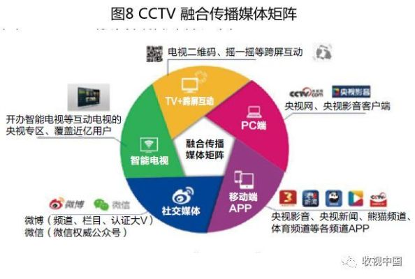 央视新闻版本选择指南,为不同用户级别推荐最合适的软件