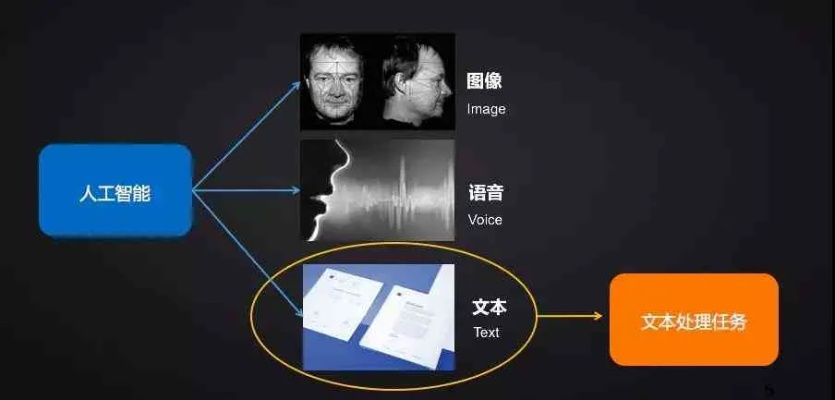 i阅读老版本选择指南,为入门与专业用户量身打造