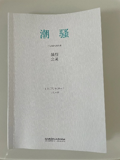 潮骚版本,精细设计解析-10DM1_v10.734