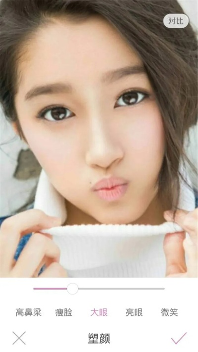 美图大师官方下载,实地计划验证数据&精装款_v4.838