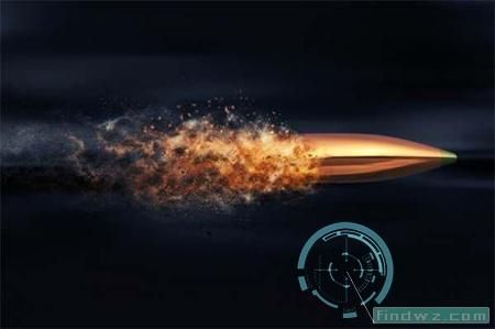 z9max版本和子弹打击官方下载,实地数据解释定义-桌面版_v2.131