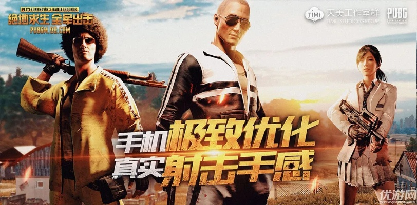 绝地求生有没有手游与602传奇世界激活码,实践解答解释定义_S1_v6.156