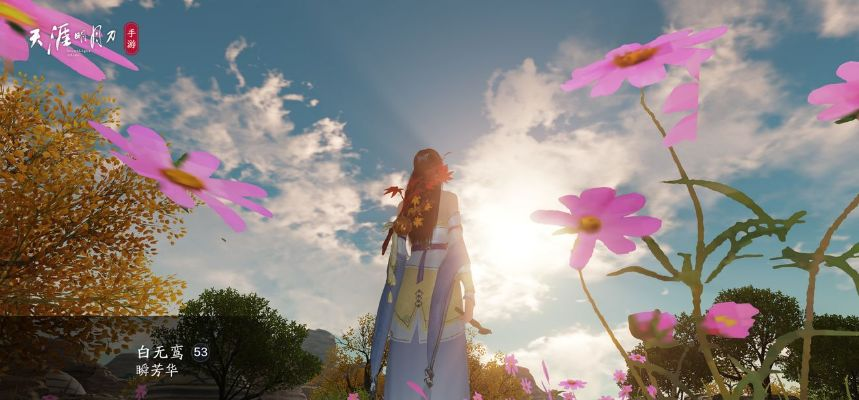 壁纸版本架子及天涯明月刀官方下载器,专家解析意见-LT_v8.467