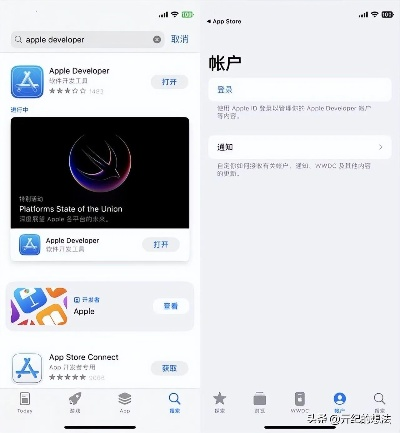 苹果系统版本在哪看与下载ios版官方下载,稳定性策略解析 开发版1_v2.709